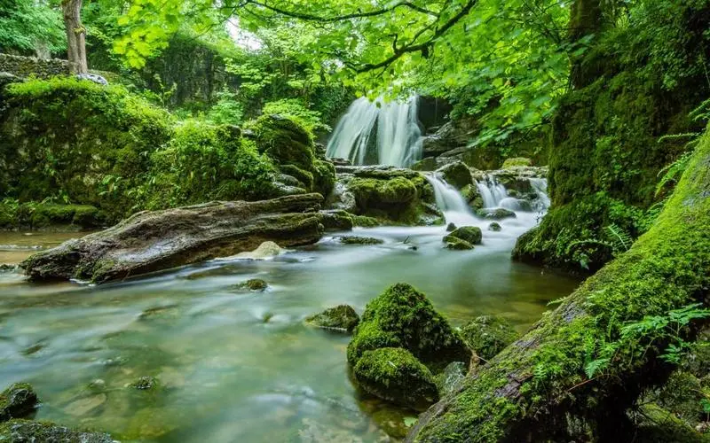 节能高标准智能系统
